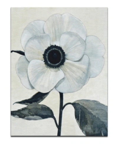 Ready2hangart , 'elegant Poppy Ii' White Floral Canvas Wall Art, 30x20" In Multi