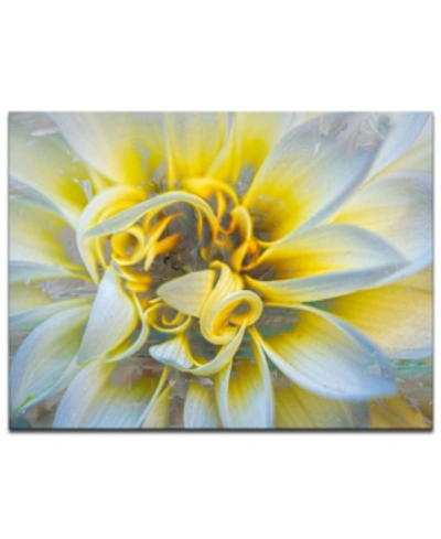 Ready2hangart 'painted Petals Xxxvii' Canvas Wall Decor In No Color