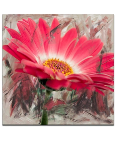 Ready2hangart 'painted Petals Xliii' Canvas Wall Decor In No Color