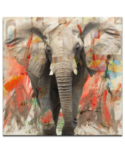 Ready2hangart 'saddle Ink Elephant I' Canvas Art Print In No Color