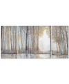 Jla Home Forest Reflections 3-pc. Gel-coated Canvas Print Set In Multi