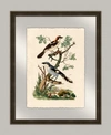 MELISSA VAN HISE OISEAUX VI FRAMED GICLEE WALL ART