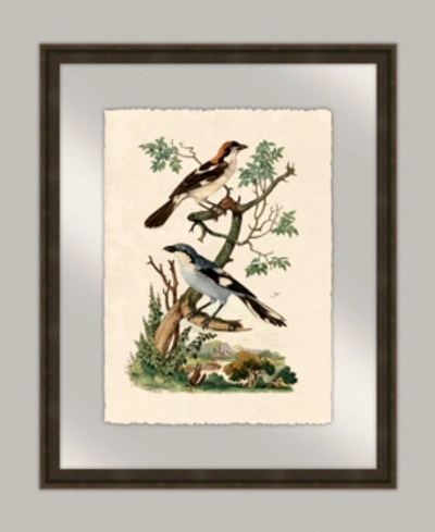 Melissa Van Hise Oiseaux Vi Framed Giclee Wall Art In Multi