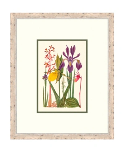 Melissa Van Hise Cottage Flowers Vi Framed Giclee Wall Art In Multi