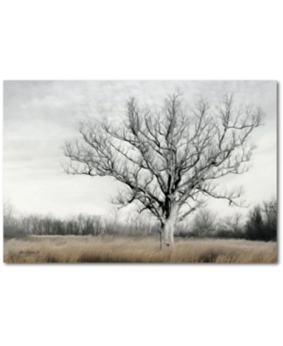 Courtside Market Country Tree Gallery-wrapped Canvas Wall Art In Multi