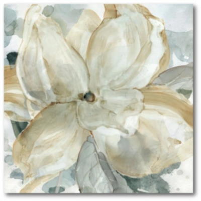 Courtside Market Crean Petals Gallery-wrapped Canvas Wall Art In Multi