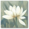 Courtside Market Waterlily Ii Gallery-wrapped Canvas Wall Art In Multi