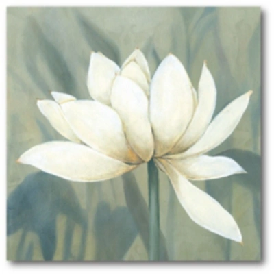 Courtside Market Waterlily Ii Gallery-wrapped Canvas Wall Art In Multi