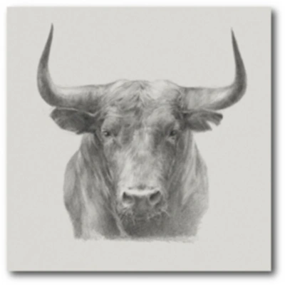 Courtside Market Black Bull Gallery-wrapped Canvas Wall Art In Multi
