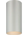 Volume Lighting 1-light Flush Mount Cylinder Ceiling Fixture In Gray