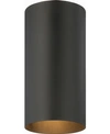 Volume Lighting 1-light Flush Mount Cylinder Ceiling Fixture In Black