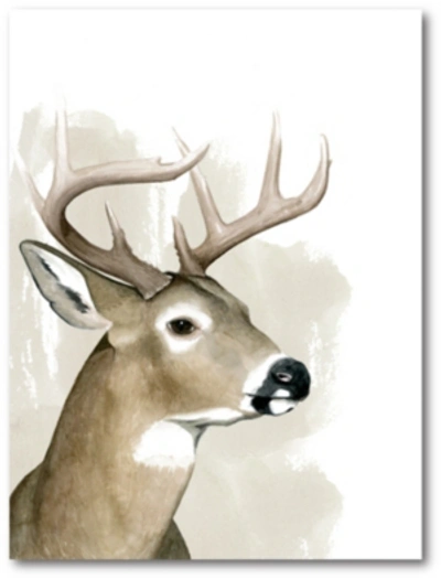 Courtside Market New Buck Gallery-wrapped Canvas Wall Art In Multi