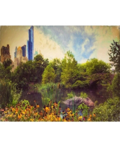 Courtside Market Central Park Painted Gallery-wrapped Canvas Wall Art In Multi