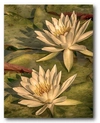 COURTSIDE MARKET LOTUS DREAM GALLERY-WRAPPED CANVAS WALL ART