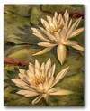 Courtside Market Lotus Dream Gallery-wrapped Canvas Wall Art In Multi
