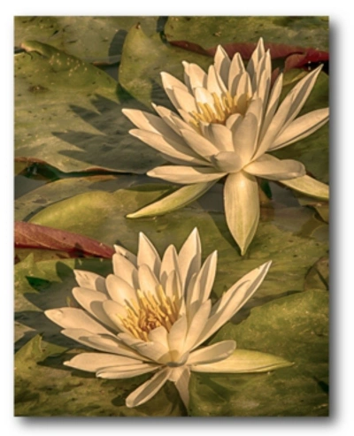 Courtside Market Lotus Dream Gallery-wrapped Canvas Wall Art In Multi