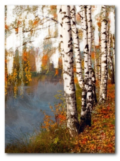 Courtside Market Birch Dream Gallery-wrapped Canvas Wall Art In Multi