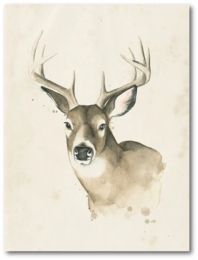 Courtside Market Big Buck I Gallery-wrapped Canvas Wall Art In Multi