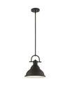 VOLUME LIGHTING 1-LIGHT DOWNROD PENDANT