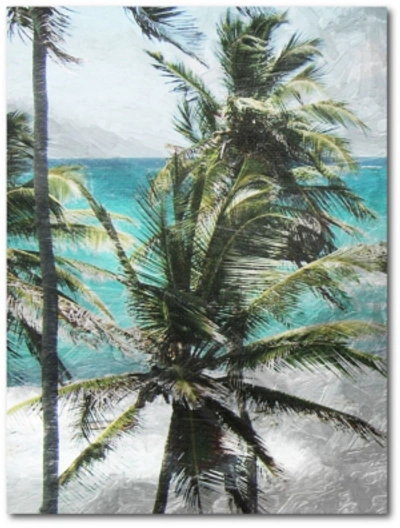 Courtside Market Coconut Tree Gallery-wrapped Canvas Wall Art In Multi