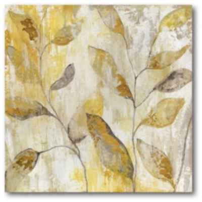 Courtside Market Golden Vine Gallery-wrapped Canvas Wall Art In Multi