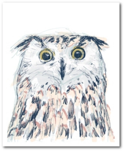 Courtside Market Gg Funky Owl Portrait Ii Gallery-wrapped Canvas Wall Art In Multi