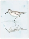 COURTSIDE MARKET SANDPIPER REFLECTIONS II GALLERY-WRAPPED CANVAS WALL ART