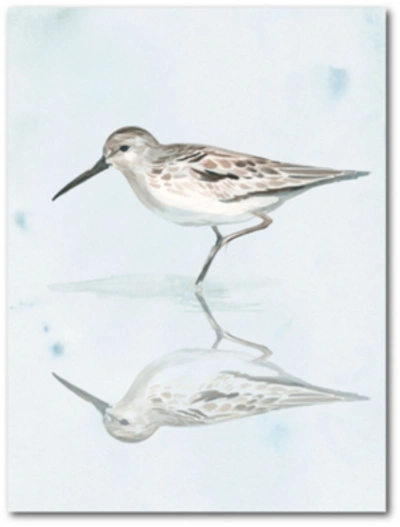 Courtside Market Sandpiper Reflections Ii Gallery-wrapped Canvas Wall Art In Multi