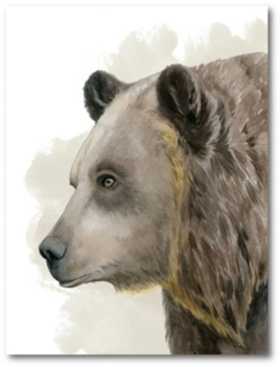 Courtside Market Brown Bear Gallery-wrapped Canvas Wall Art In Multi