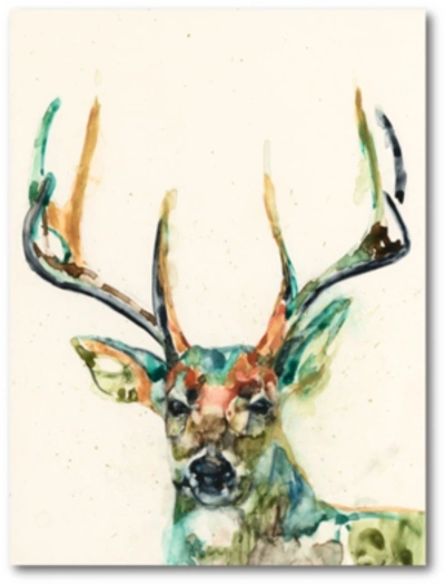 Courtside Market Watercolor Buck Gallery-wrapped Canvas Wall Art In Multi