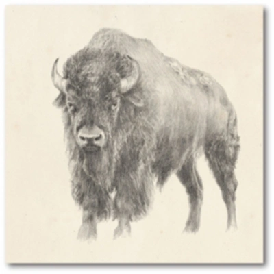 Courtside Market Western Bison Study Gallery-wrapped Canvas Wall Art In Multi