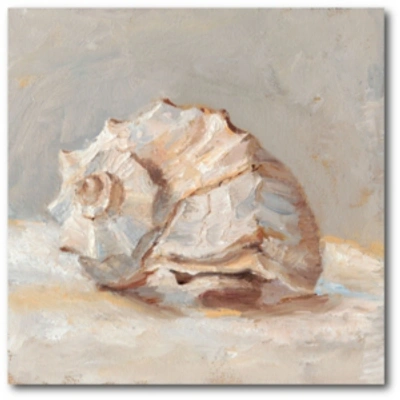 Courtside Market Impressionist Shell Study Ii Gallery-wrapped Canvas Wall Art In Multi