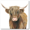 COURTSIDE MARKET HIGHLAND CATTLE II GALLERY-WRAPPED CANVAS WALL ART