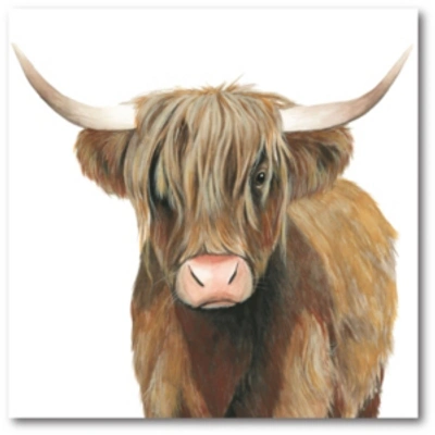 Courtside Market Highland Cattle Ii Gallery-wrapped Canvas Wall Art In Multi