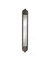 Cyan Design Skinny Tall Accent Mirror In Bronze