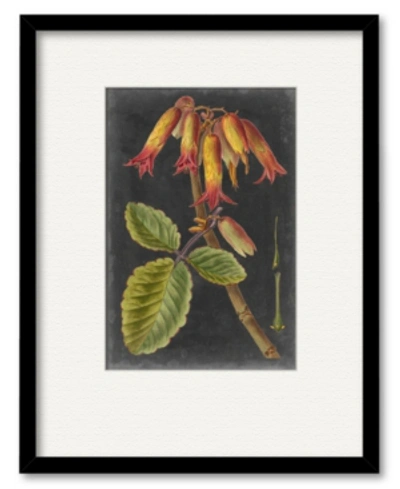 Courtside Market Dramatic Tropicals Iii 16" X 20" Framed And Matted Art In Multi