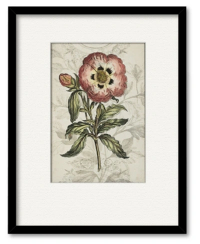 Courtside Market Treasures Of The Earth Ii 16" X 20" Framed And Matted Art In Multi