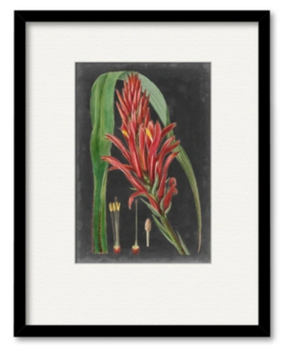 Courtside Market Dramatic Tropicals Ii 16" X 20" Framed And Matted Art In Multi