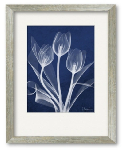 Courtside Market Tulip Blueprint X-ray 16" X 20" Framed And Matted Art In Multi