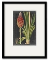 COURTSIDE MARKET DRAMATIC TROPICALS IV 16" X 20" FRAMED AND MATTED ART