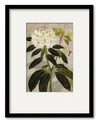 Courtside Market Treasures Of The Earth I 16" X 20" Framed And Matted Art In Multi