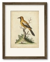 Courtside Market Edwards Gold Finch 16" X 20" Framed And Matted Art In Multi