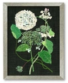 COURTSIDE MARKET HYDRANGEA STUDY I 16" X 20" FRAMED CANVAS WALL ART