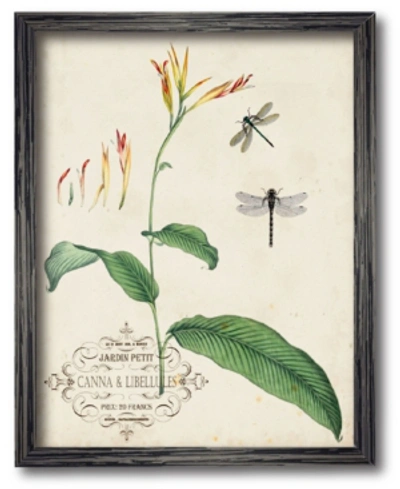 Courtside Market Canna Dragonflies I 30" X 40" Framed Canvas Wall Art In Multi