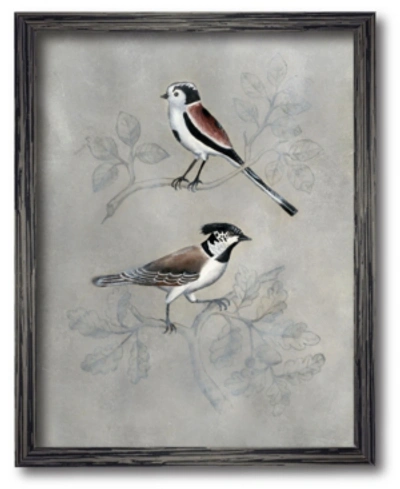 Courtside Market Aviary Iv 30" X 40" Framed Canvas Wall Art In Multi