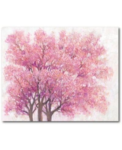 Courtside Market Blossom Tree I 20" X 24" Gallery-wrapped Canvas Wall Art In Multi