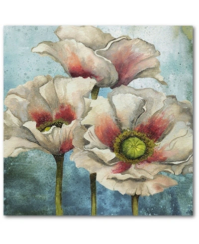 Courtside Market Poppies Over I 20" X 20" Gallery-wrapped Canvas Wall Art In Multi