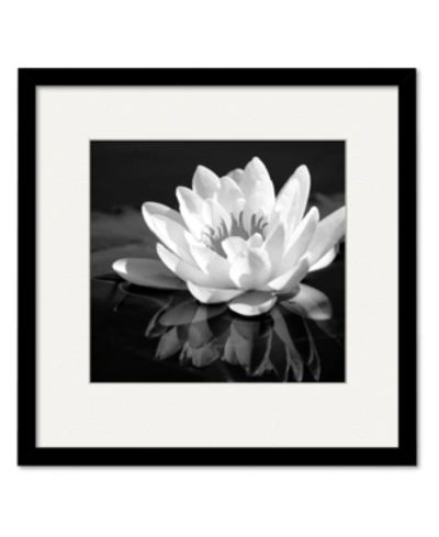 Courtside Market Waterlily Flower I 16" X 16" Framed And Matted Art In Multi