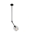 Artcraft Lighting Organic Pendant In Black