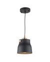Artcraft Lighting Euro Industrial Pendant In Black